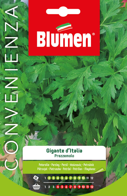 Semi Prezzemolo Gigante