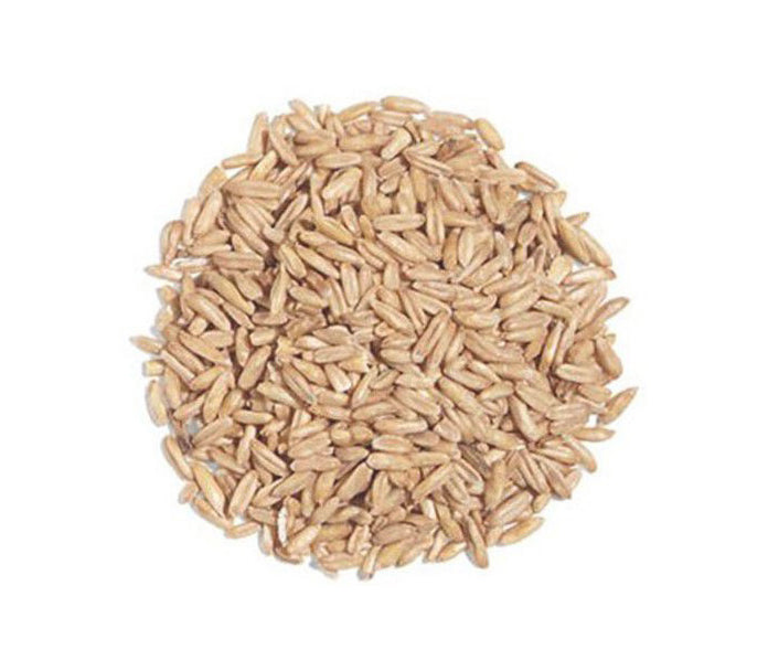 Avena Decorticata