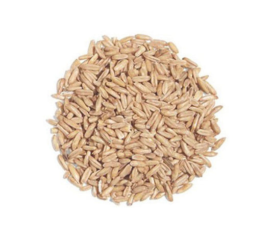 Avena Decorticata