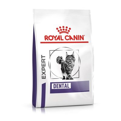 Royal Canin Expert Dental Cat Crocchette per gatti