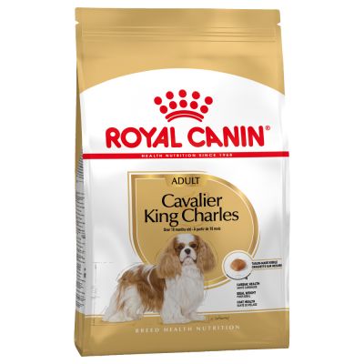 Royal Canin Cavalier King Charles Adult Crocchette per cani