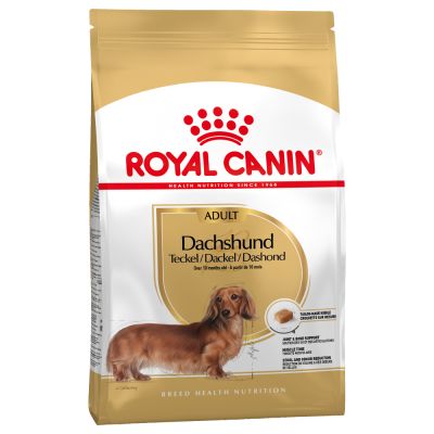 Royal Canin Dachshund Adult Crocchette per cani