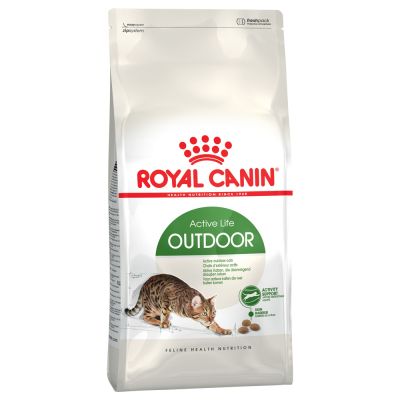 Royal Canin Active Life Outdoor Crocchette per gatti