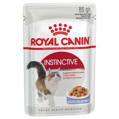 Royal Canin Instinctive in Gelatina