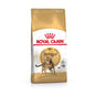 Royal Canin Bengala Adult Crocchette per gatti