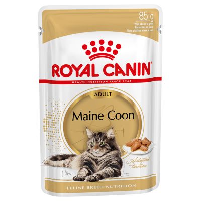 Umido Royal Canin Maine Coon in Salsa