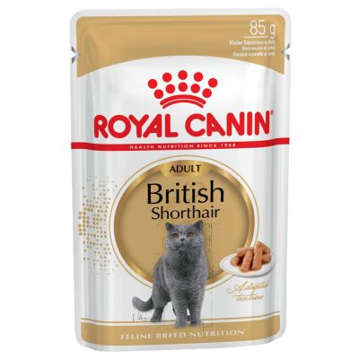 Umido Royal Canin British Shorthair Adult in Salsa