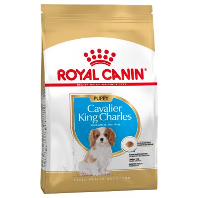 Royal Canin Cavalier King Charles Puppy Crocchette per cani