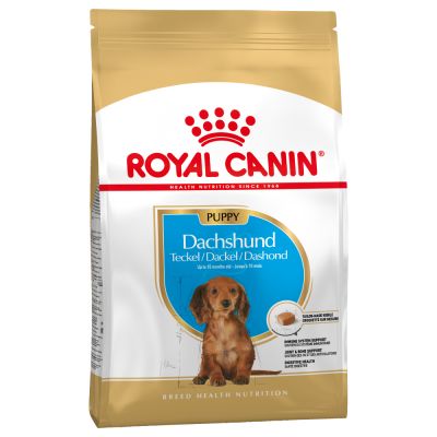 Royal Canin Dachshund Puppy Crocchette per cani 1,5 kg