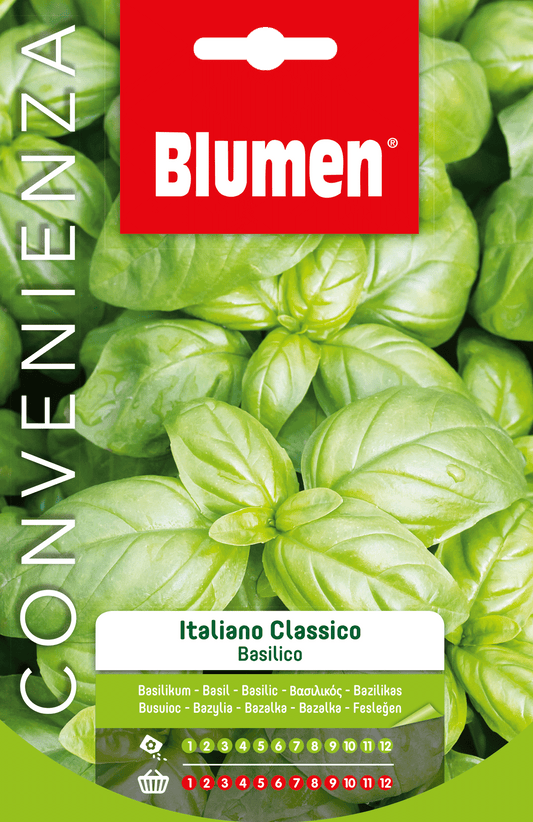 Semi Basilico Italiano Classico