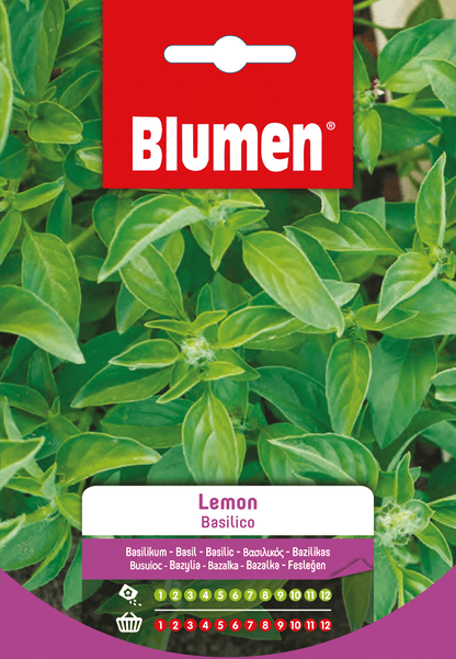 Semi Basilico Lemon