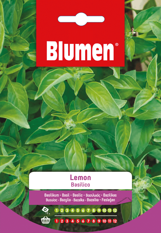 Semi Basilico Lemon