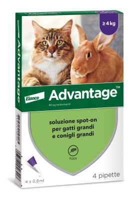 Advantage® 80 soluzione spot-on per gatti e conigli > 4 kg