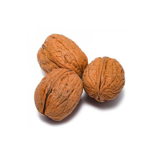 Noci In Guscio