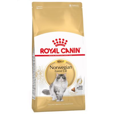 Royal Canin Norvegese delle Foreste Adult Crocchette per gatti