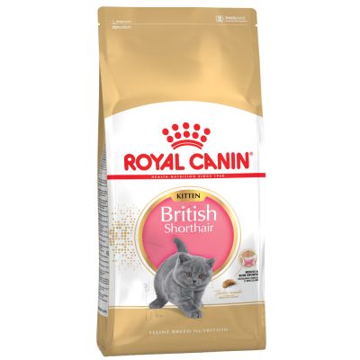 Royal Canin British Shorthair Kitten Crocchette per gatti