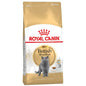 Royal Canin British Shorthair Adult Crocchette per gatti