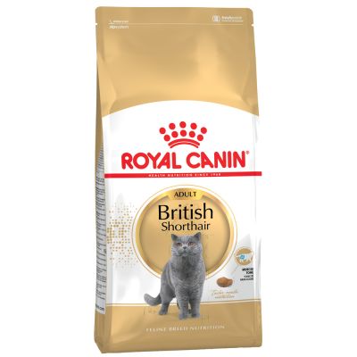 Royal Canin British Shorthair Adult Crocchette per gatti