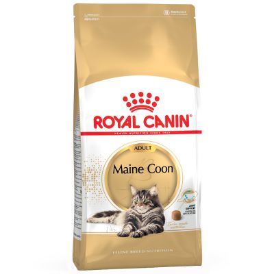 Royal Canin Maine Coon Adult Crocchette per gatti