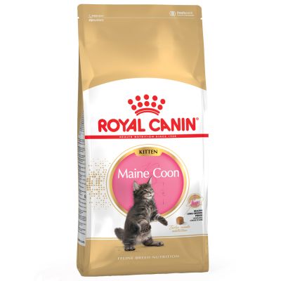 Royal Canin Maine Coon Kitten Crocchette per gatti