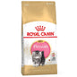 Royal Canin Persian Kitten Crocchette per gatti